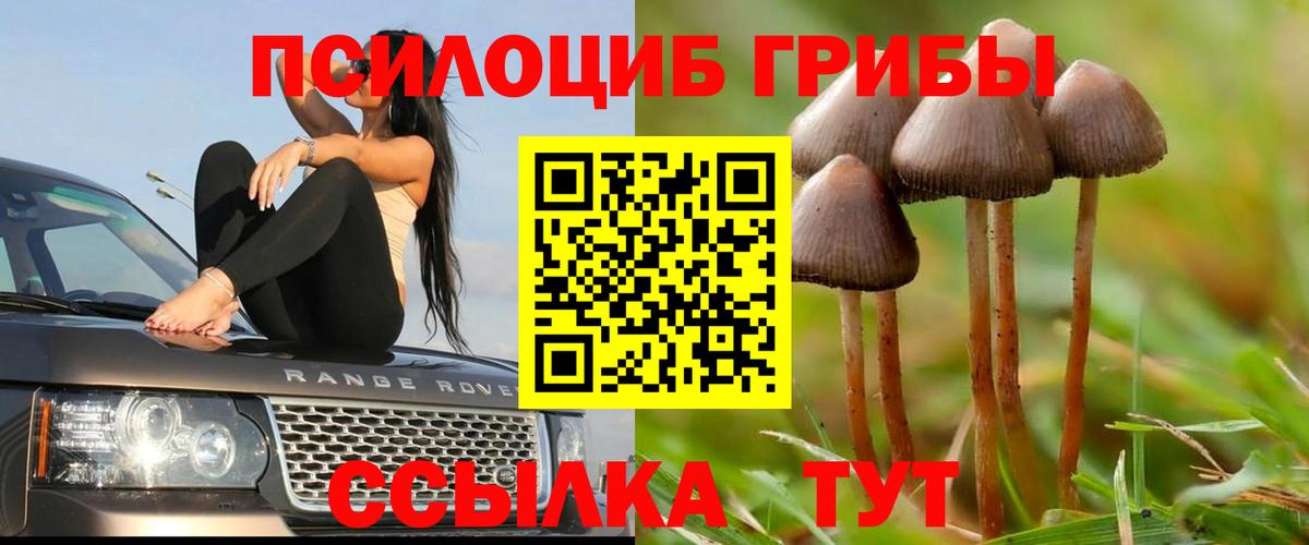 Галлюциногенные грибы MAGIC MUSHROOMS Ржев