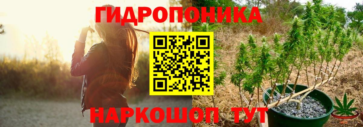 Ржев  МАРИХУАНА семена  Вход с VPN  Канабис Ganja  Марихуана семена 